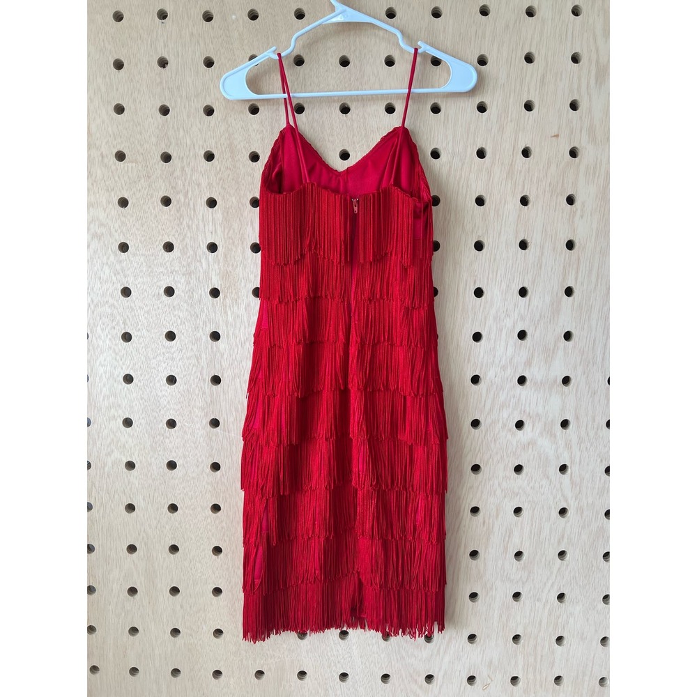 Fringe Flapper Dress - image 4